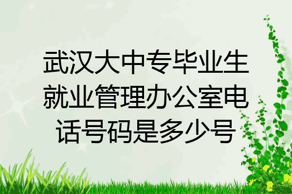 武汉大中专毕业生就业管理办公室电话号码是多少号