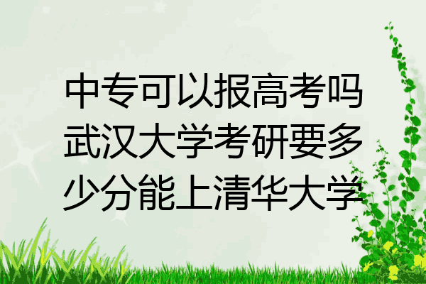 中专可以报高考吗武汉大学考研要多少分能上清华大学