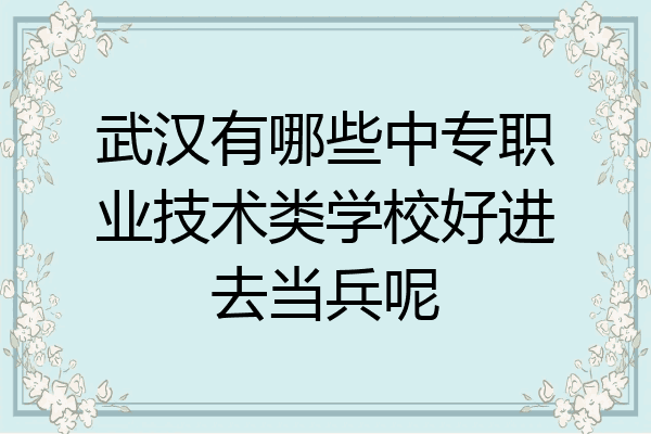 武汉有哪些中专职业技术类学校好进去当兵呢