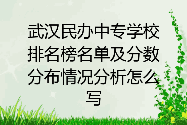 武汉民办中专学校排名榜名单及分数分布情况分析怎么写
