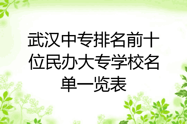武汉中专排名前十位民办大专学校名单一览表