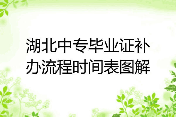 湖北中专毕业证补办流程时间表图解