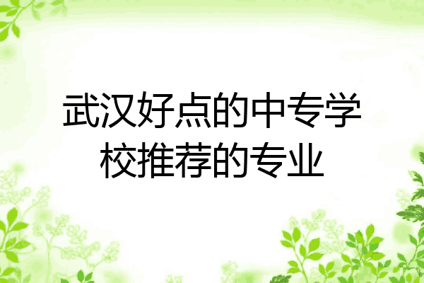 武汉好点的中专学校推荐的专业