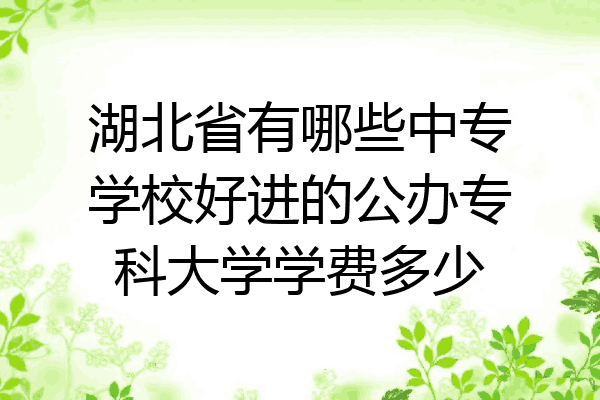 湖北省有哪些中专学校好进的公办专科大学学费多少