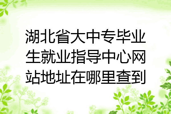 湖北省大中专毕业生就业指导中心网站地址在哪里查到