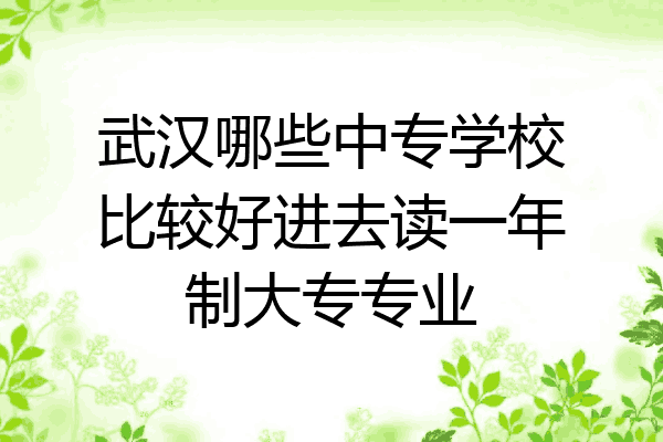 武汉哪些中专学校比较好进去读一年制大专专业
