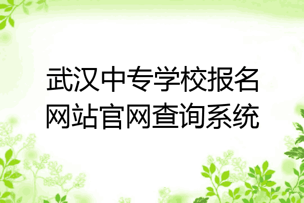 武汉中专学校报名网站官网查询系统