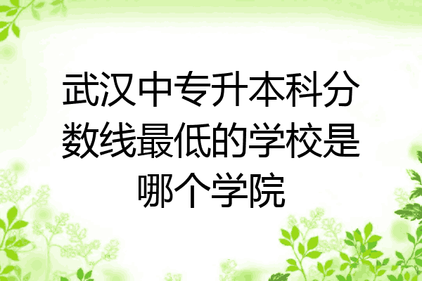 武汉中专升本科分数线最低的学校是哪个学院