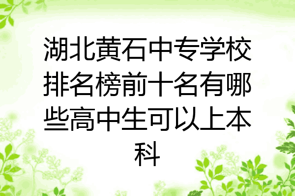 湖北黄石中专学校排名榜前十名有哪些高中生可以上本科