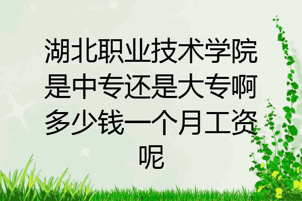 湖北职业技术学院是中专还是大专啊多少钱一个月工资呢
