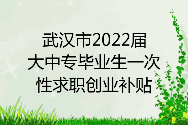 武汉市2022届大中专毕业生一次性求职创业补贴