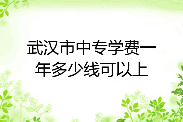 武汉市中专学费一年多少线可以上