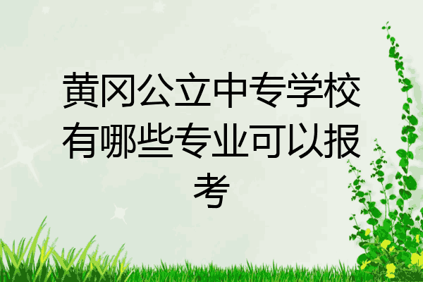 黄冈公立中专学校有哪些专业可以报考