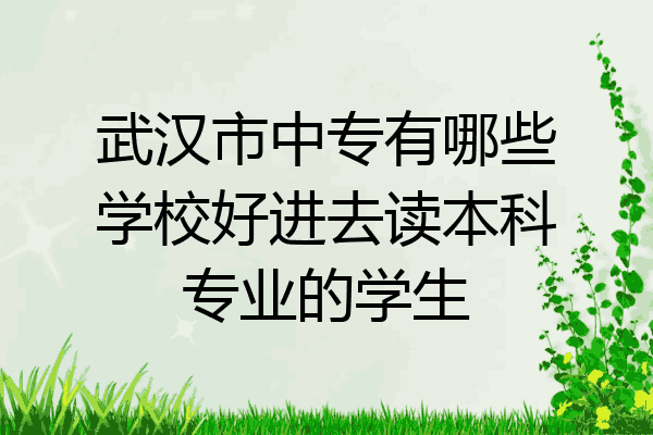 武汉市中专有哪些学校好进去读本科专业的学生