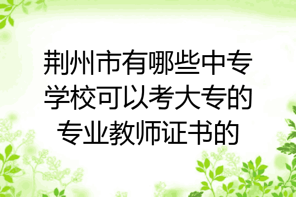 荆州市有哪些中专学校可以考大专的专业教师证书的