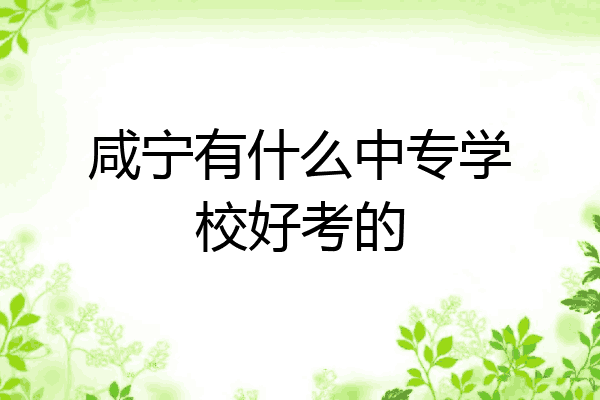 咸宁有什么中专学校好考的