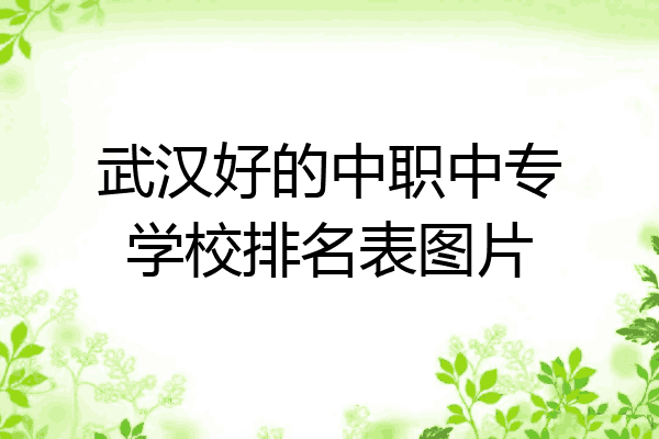 武汉好的中职中专学校排名表图片