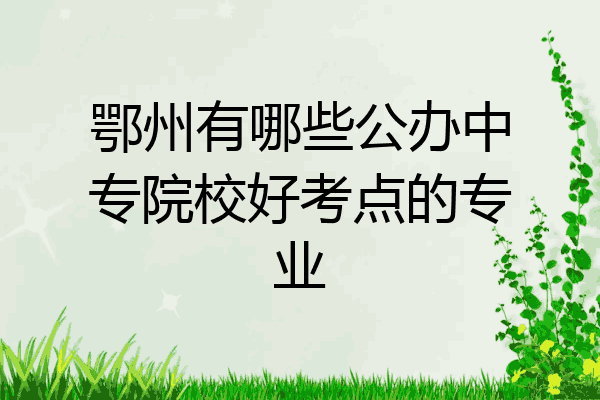 鄂州有哪些公办中专院校好考点的专业