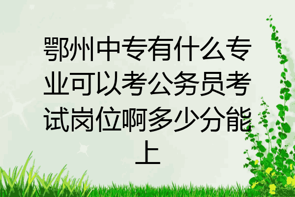 鄂州中专有什么专业可以考公务员考试岗位啊多少分能上