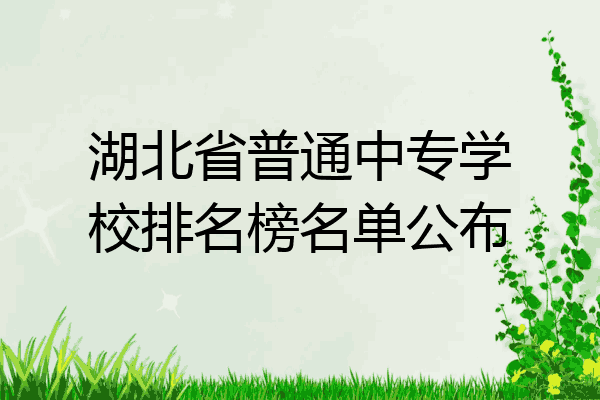 湖北省普通中专学校排名榜名单公布
