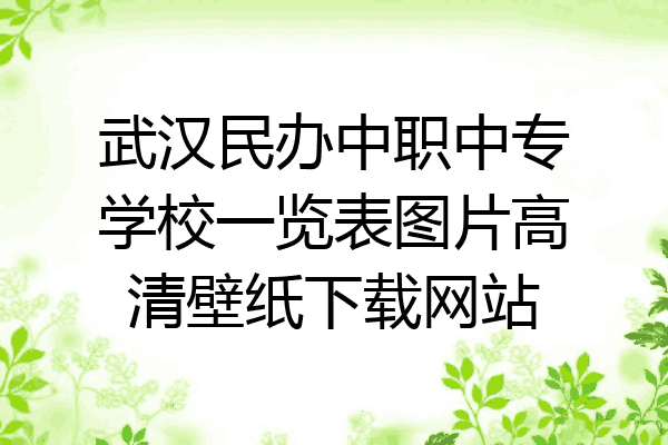 武汉民办中职中专学校一览表图片高清壁纸下载网站