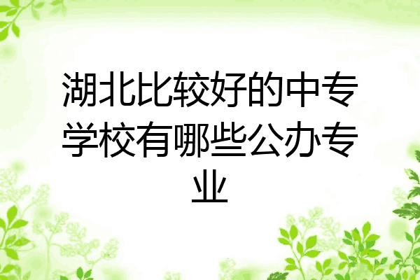 湖北比较好的中专学校有哪些公办专业