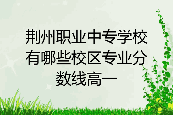 荆州职业中专学校有哪些校区专业分数线高一