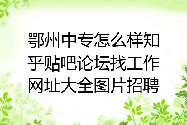 鄂州中专怎么样知乎贴吧论坛找工作网址大全图片招聘