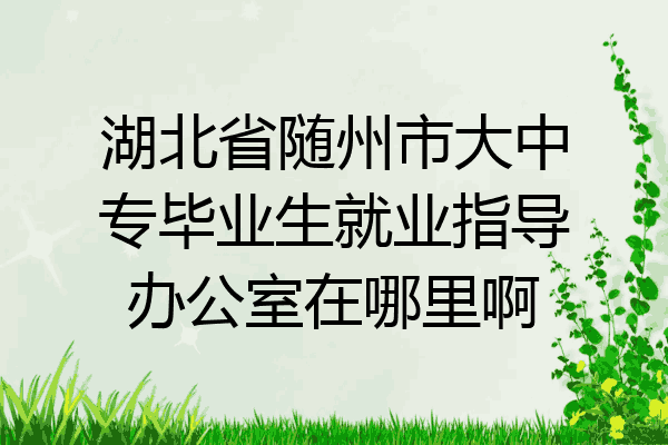 湖北省随州市大中专毕业生就业指导办公室在哪里啊