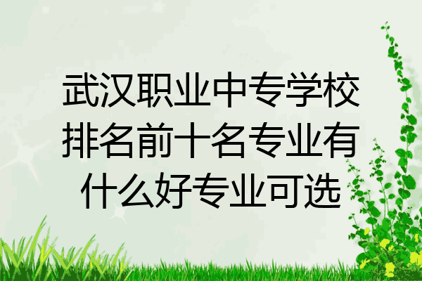 武汉职业中专学校排名前十名专业有什么好专业可选