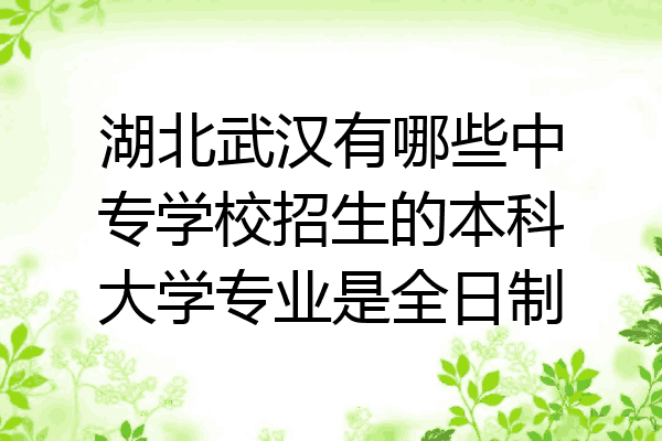 湖北武汉有哪些中专学校招生的本科大学专业是全日制