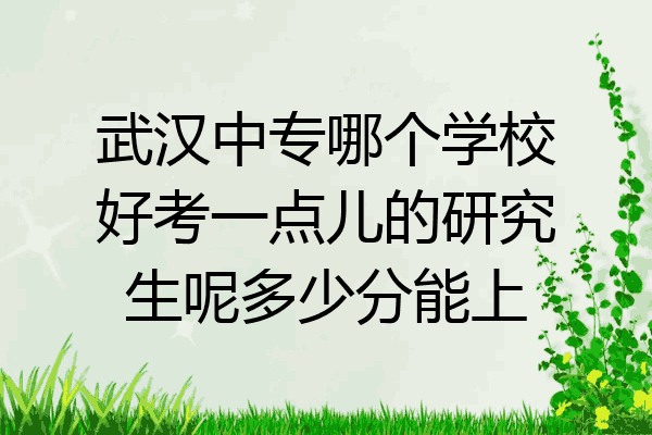 武汉中专哪个学校好考一点儿的研究生呢多少分能上