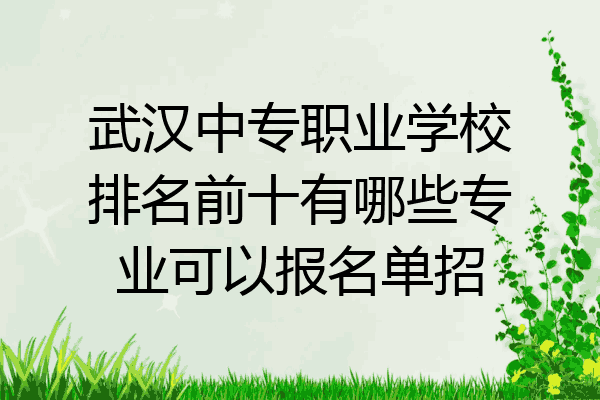 武汉中专职业学校排名前十有哪些专业可以报名单招