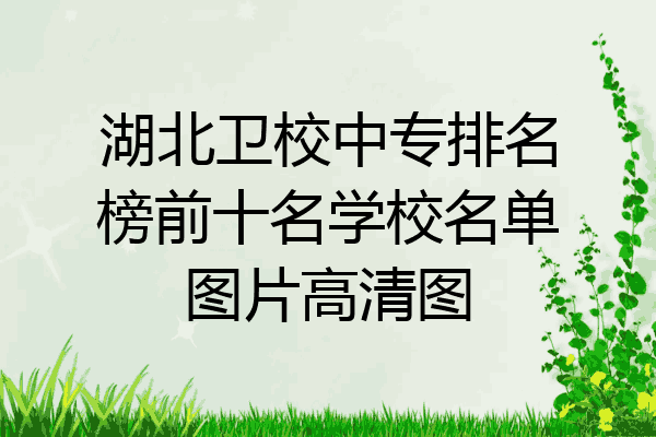 湖北卫校中专排名榜前十名学校名单图片高清图