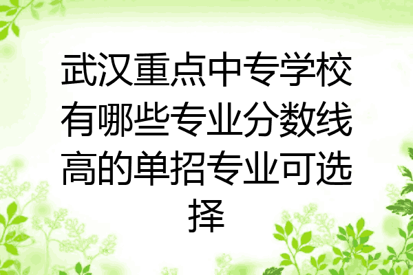 武汉重点中专学校有哪些专业分数线高的单招专业可选择