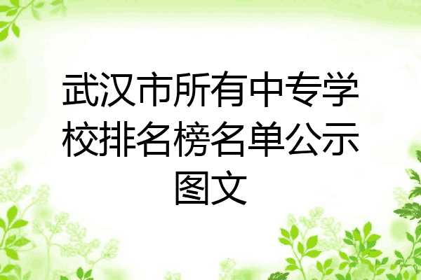 武汉市所有中专学校排名榜名单公示图文