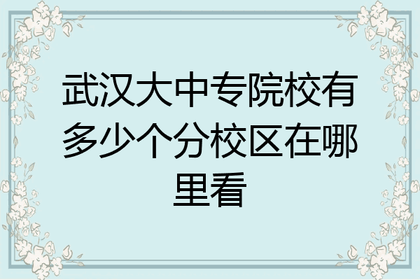 武汉大中专院校有多少个分校区在哪里看