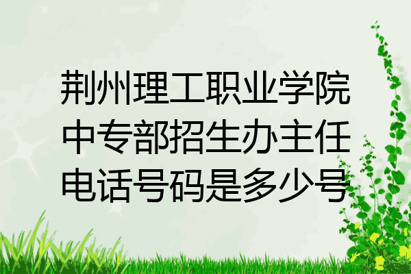 荆州理工职业学院中专部招生办主任电话号码是多少号
