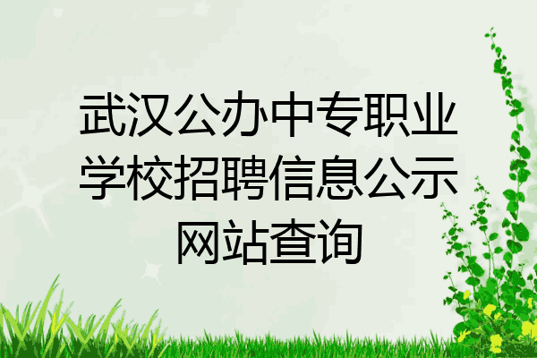 武汉公办中专职业学校招聘信息公示网站查询
