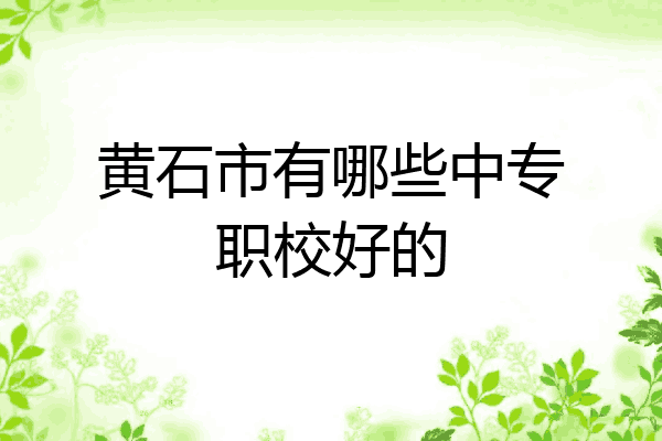 黄石市有哪些中专职校好的