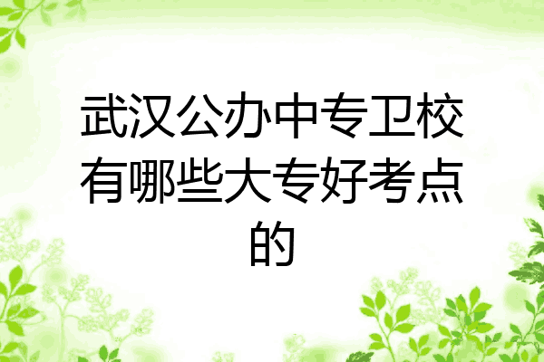 武汉公办中专卫校有哪些大专好考点的