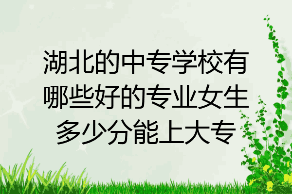 湖北的中专学校有哪些好的专业女生多少分能上大专