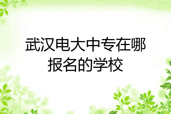 武汉电大中专在哪报名的学校