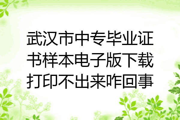 武汉市中专毕业证书样本电子版下载打印不出来咋回事