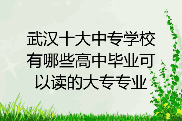 武汉十大中专学校有哪些高中毕业可以读的大专专业