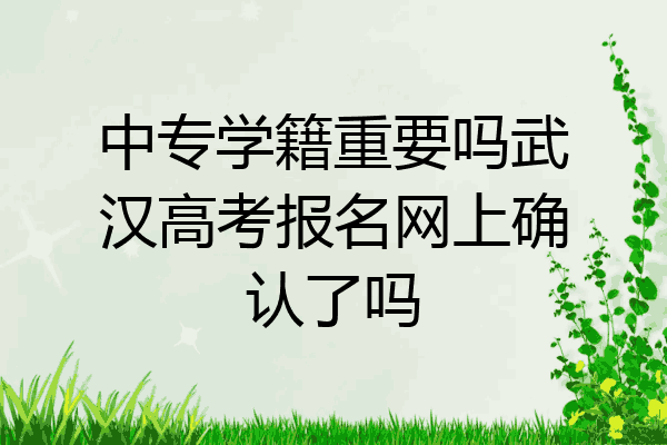 中专学籍重要吗武汉高考报名网上确认了吗