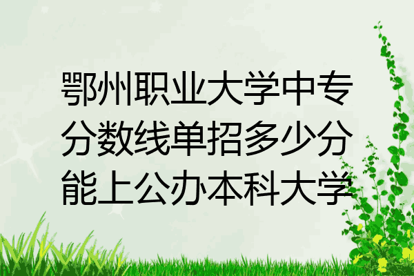 鄂州职业大学中专分数线单招多少分能上公办本科大学