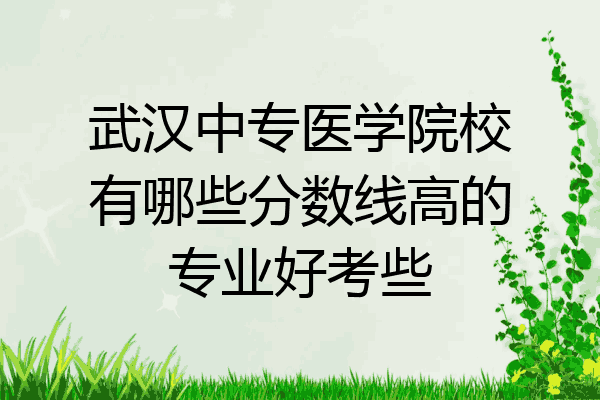 武汉中专医学院校有哪些分数线高的专业好考些