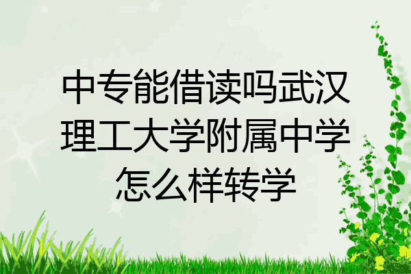 中专能借读吗武汉理工大学附属中学怎么样转学