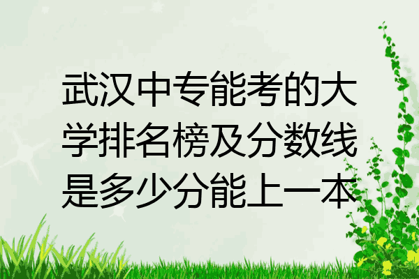 武汉中专能考的大学排名榜及分数线是多少分能上一本